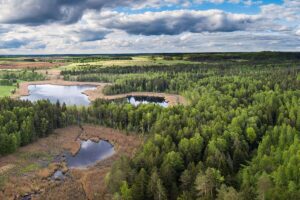 lithuania-Žadvainių_ežeras